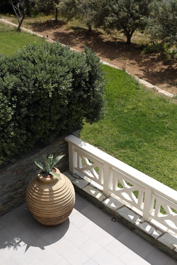 Aithra -Agios Petros Andros Villa Gávrio Kültér fotó