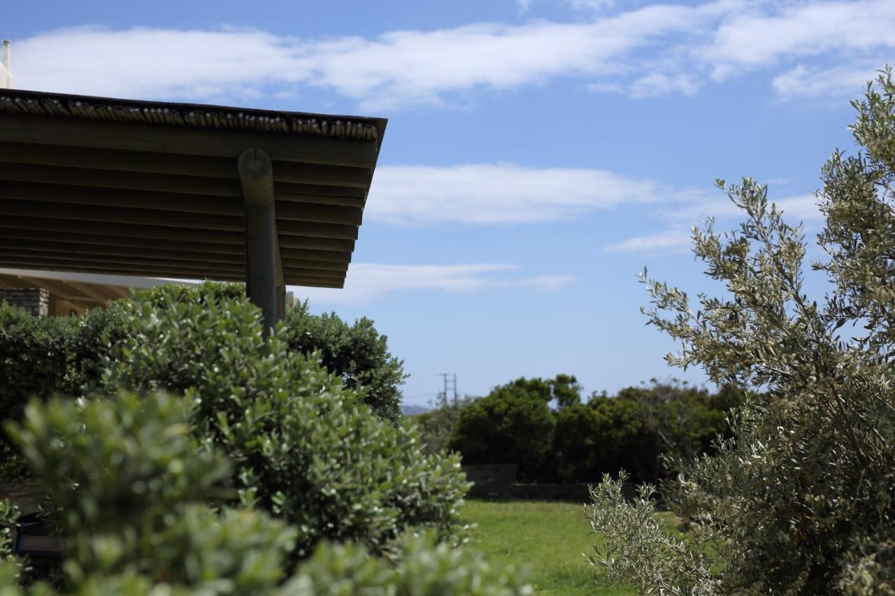 Aithra -Agios Petros Andros Villa Gávrio Kültér fotó